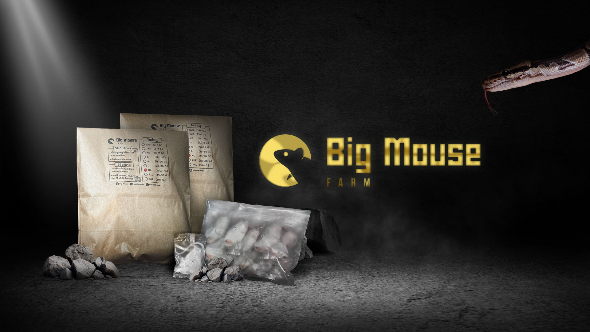 Cover Image1