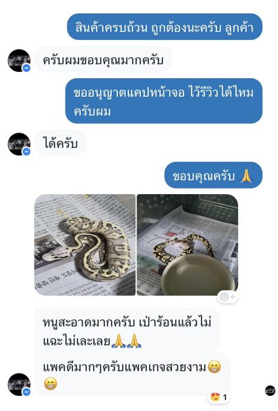 Review 5