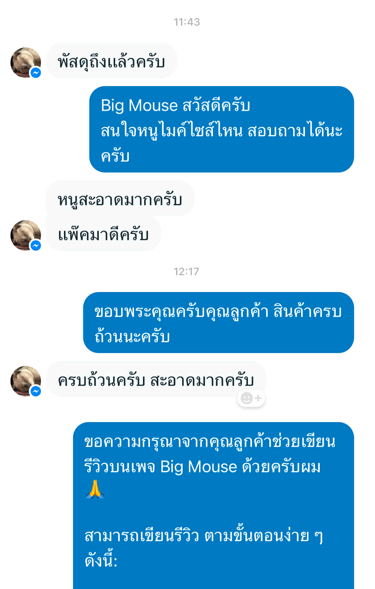 Review 6